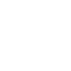 DILO logo